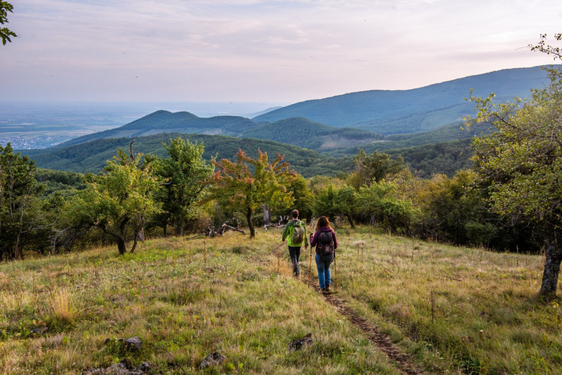 Túrázók a Mátra gerincén