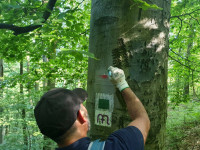 Turistaút Híradó 6. rész