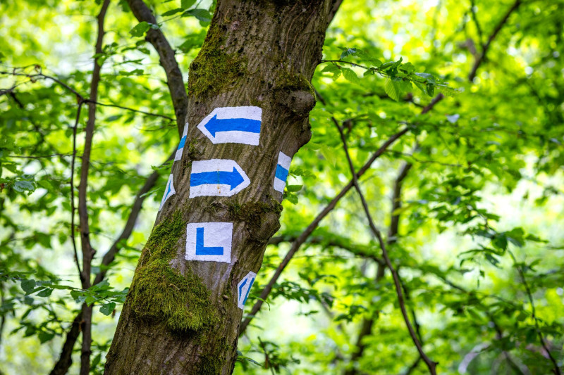 Turistaútjelzések a keleméri Mohosvárhoz vezető úton