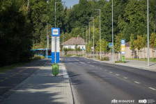 Új buszjárattal a Normafára