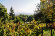 Új látogatóközponttal nyit hamarosan a Jókai-kert