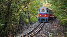 Ünnep a Gyermekvasúton – 75 éves a teljes vonal!