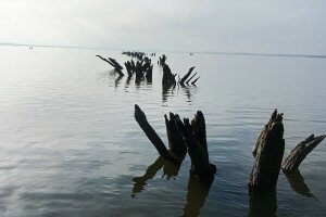 Változások tava – A leengedett Tisza-tó is gyönyörű és izgalmas