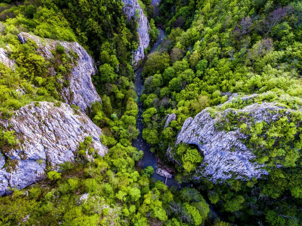 Varghis Gorges in Covasna and Harghita county, Transylvania, Romania. Entrance to the three caves visible. Aerial view from a drone.