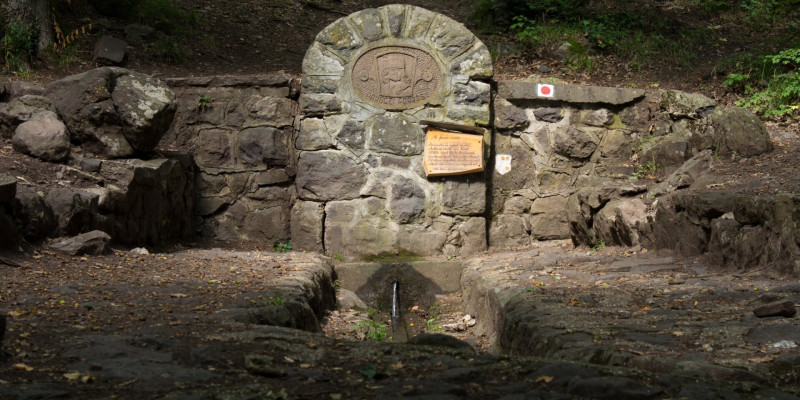 variant (1)