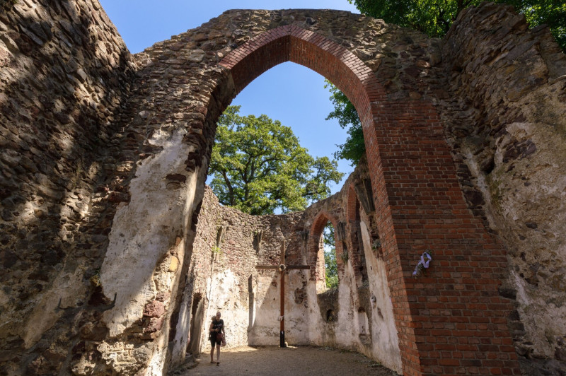 variant (14)