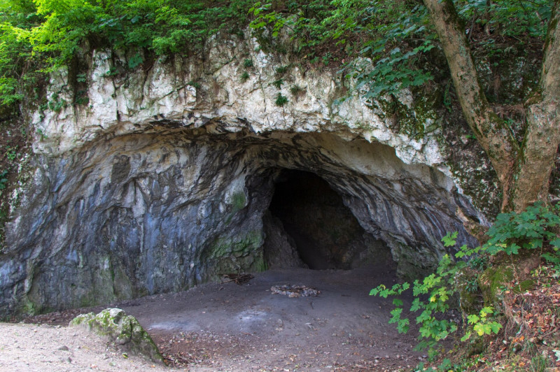 variant (16)
