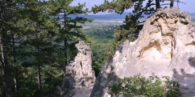 variant (2)