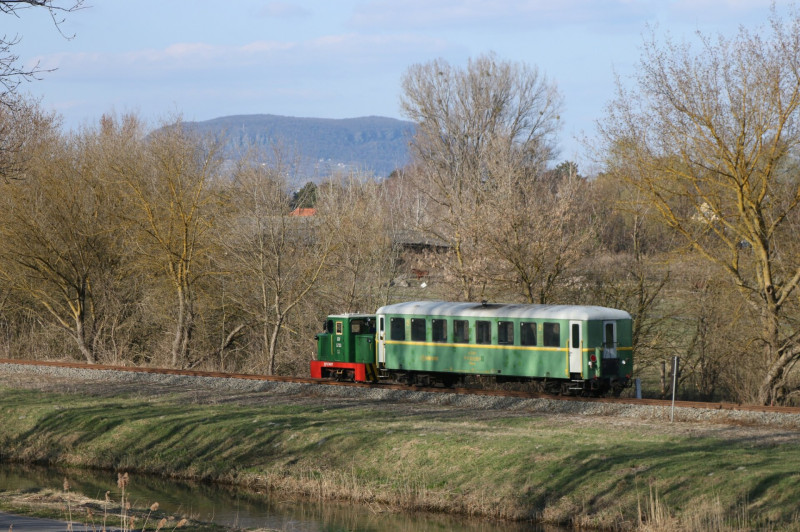 variant (20)