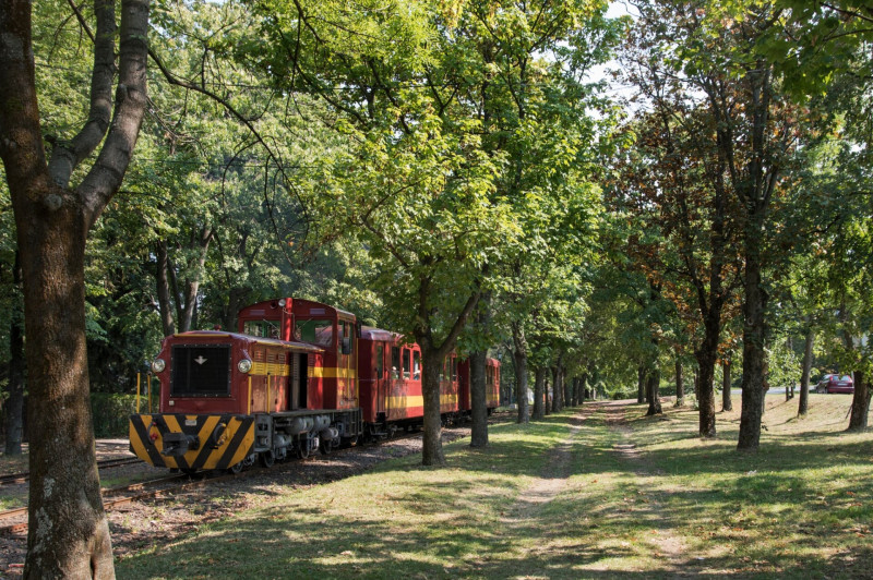variant (22)