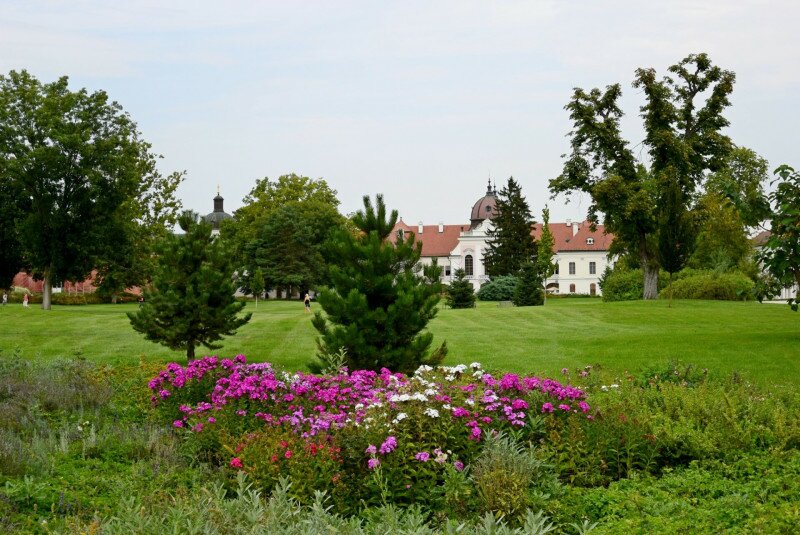 variant (31)