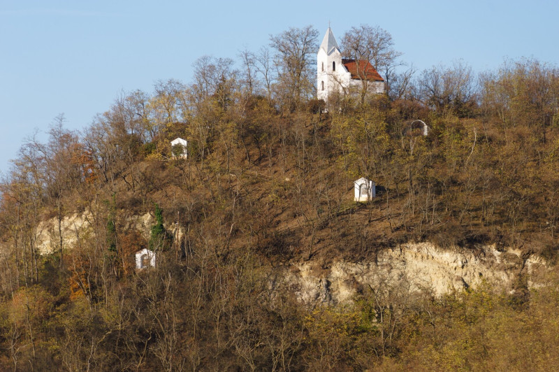 variant (5)