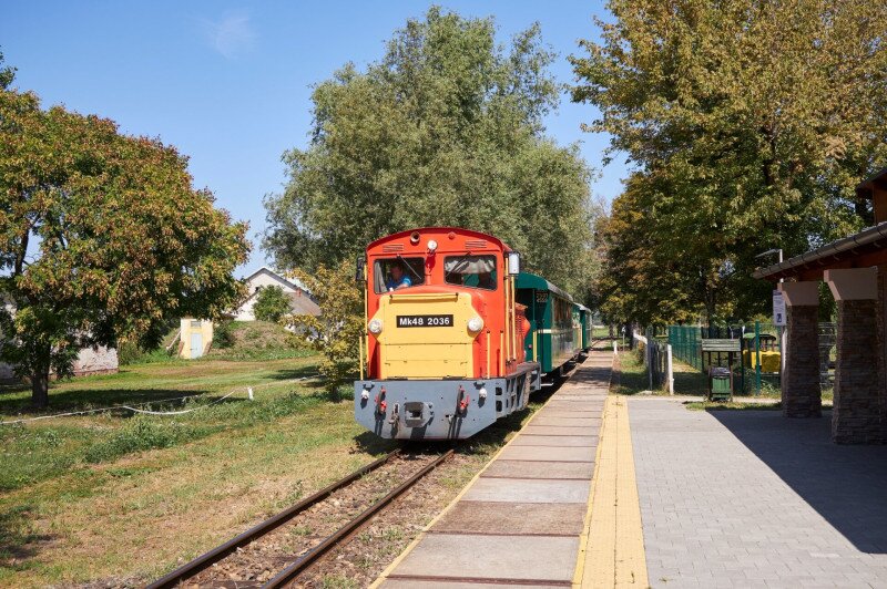 variant (7)