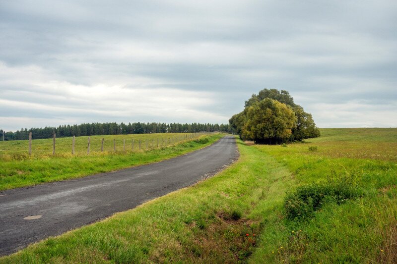 Városlőd határában Németbánya felé