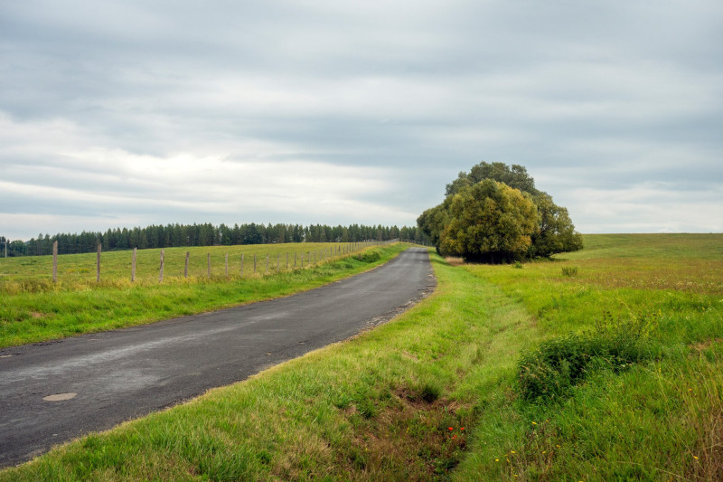 Városlőd határában Németbánya felé