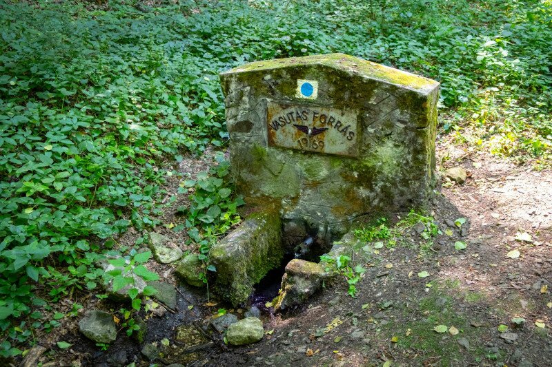 Vasutas-forrás, Börzsöny