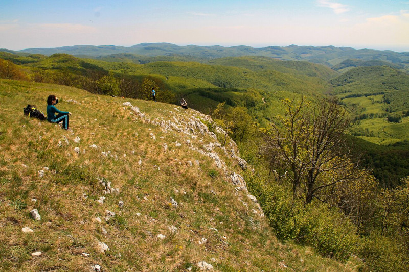 VE1kép (1)