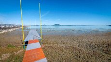 Veszélyt jelent-e az alacsony vízszint a Balaton élővilágára?
