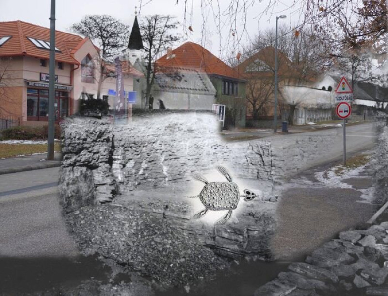 Veszprémi_ősteknős_Laczkó_Dezső