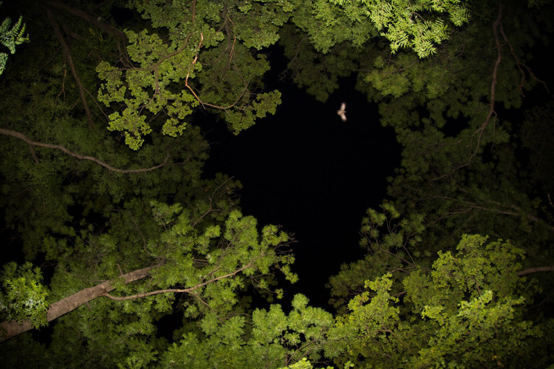 v highly kornyezet Gábor Li - A PEEK INTO THE NIGHT