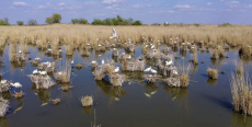 Videó: A Hortobágyi Nemzeti Park tavaszi arca