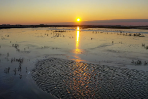 Videó a vizes Hortobágyról: végre fellélegezhet a puszta