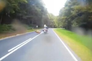 Videó: Majdnem nekirohant a szarvas a motoros rendőrnek