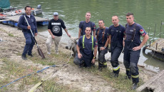 Videó: Szürkemarhát mentettek a Tisza iszapjából