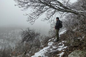 Visegrádi hegyek fagyvirágos felfedezőútján 