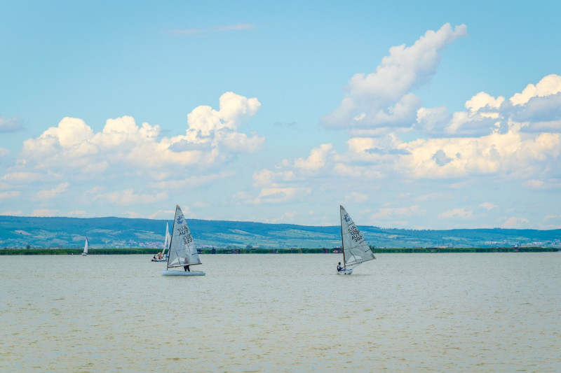 Vitorlások a Fertő-tónál
