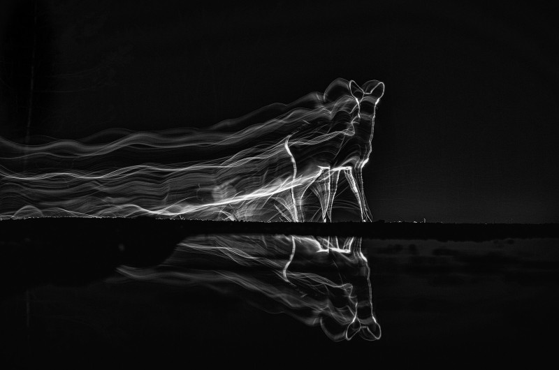 Walking in the light