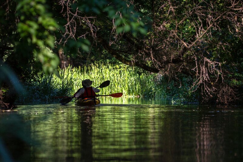 web_02 04 PK 074 _MG_4025