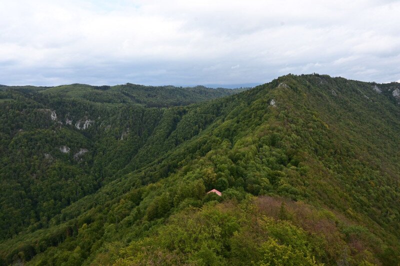 web_04_gór_attila