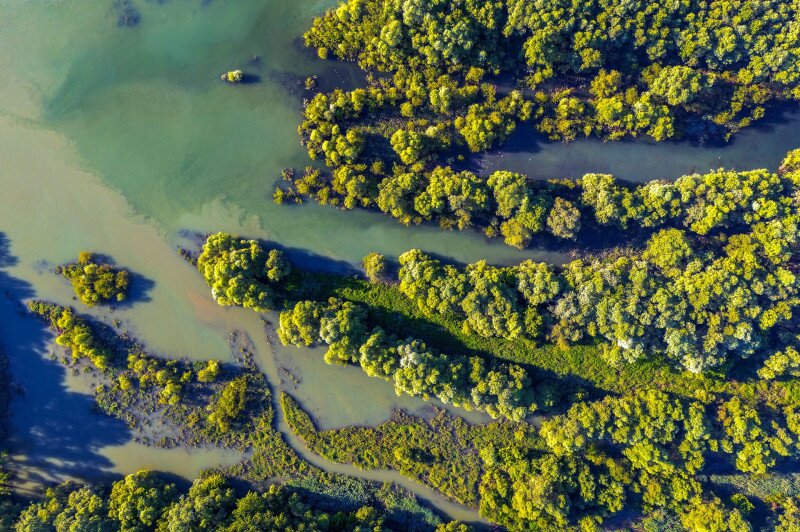 web_07 Természetes áradás FOTO AdobeStock_442270732