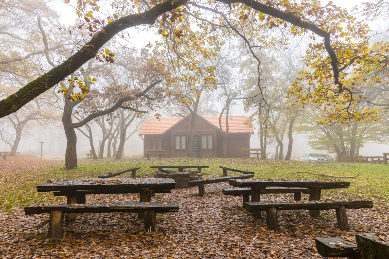 web_21 Erzsébet-pihenő CSM_20221109_1556