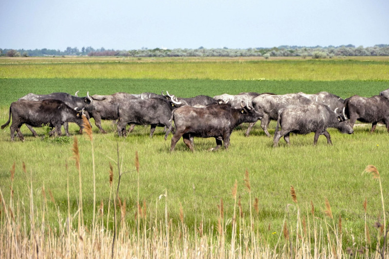 web_280504331_5394718547228805_3113344075509946747_n