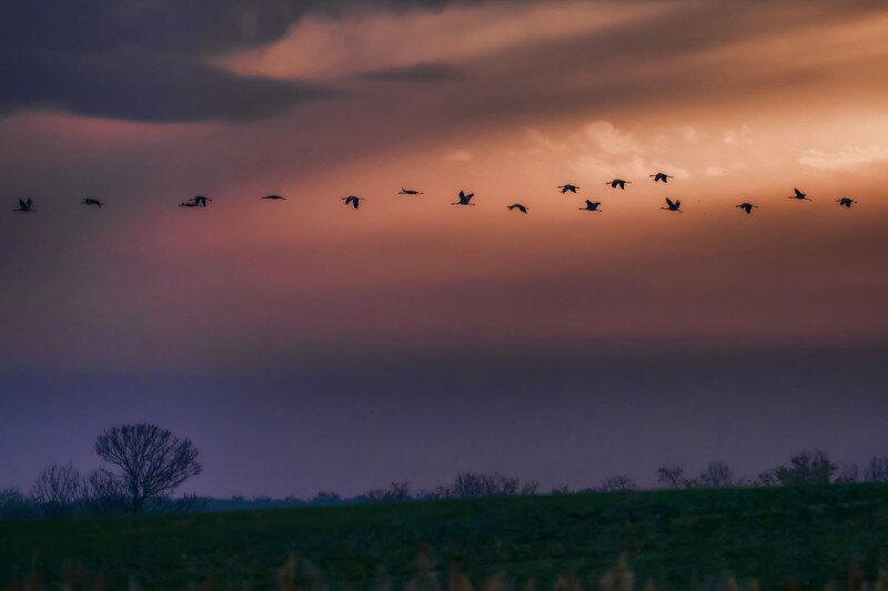 web_AdobeStock_233202564