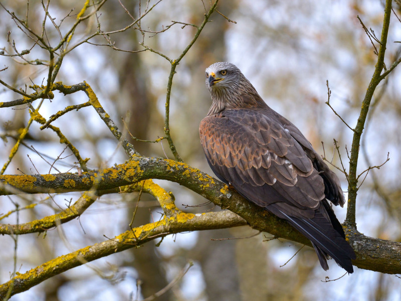 web_AdobeStock_326756844