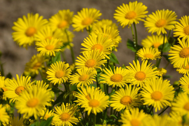 web_AdobeStock_500480646