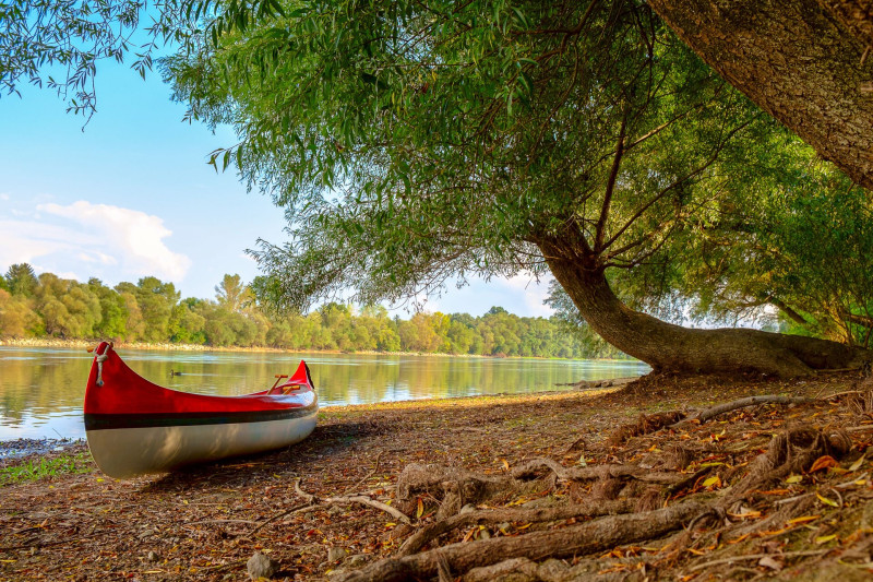 web_AdobeStock_92159792