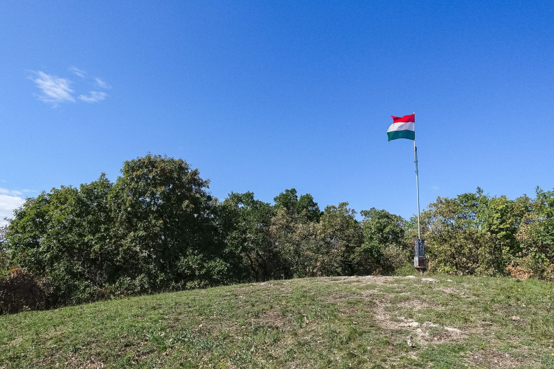 web_DSC09943