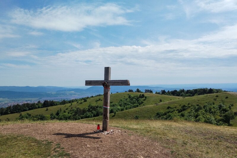 web_IMG_20220606_104356