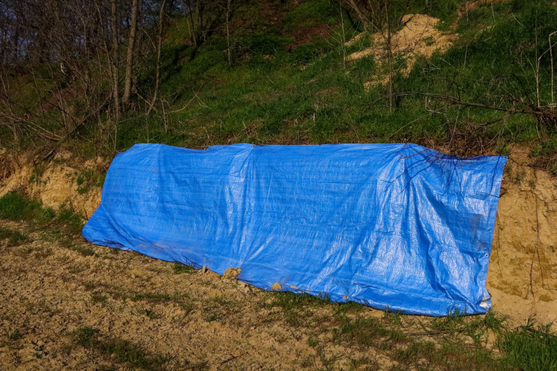 web_partifecske_bekoltozes_megakadalyozasa_lefoliazassal_Facankert_20200329_Orban_Zoltan_10