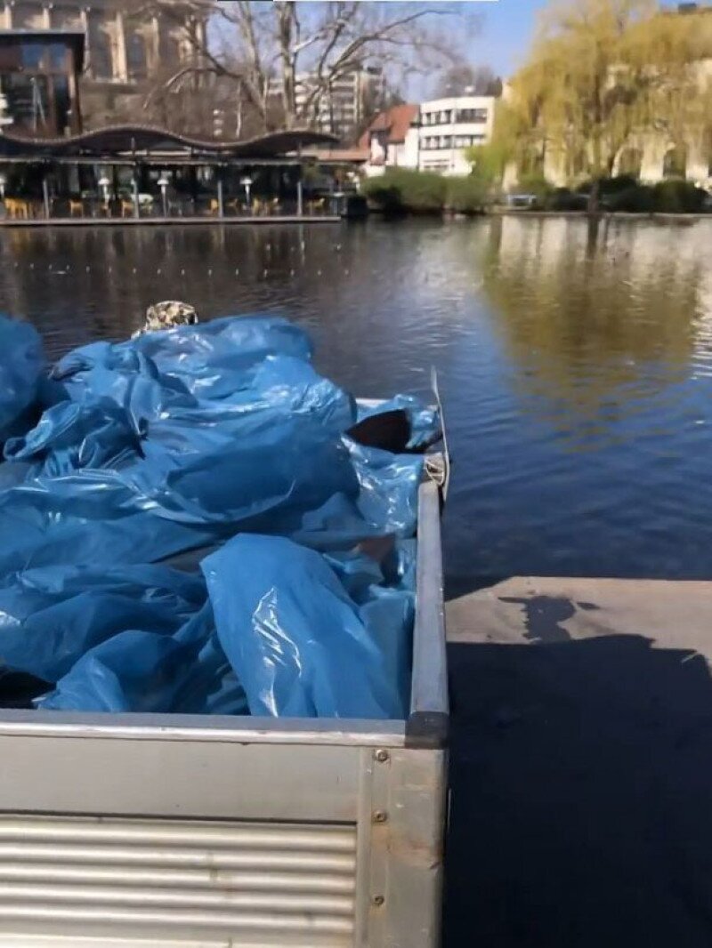 web_Screenshot 2022-04-07 123956