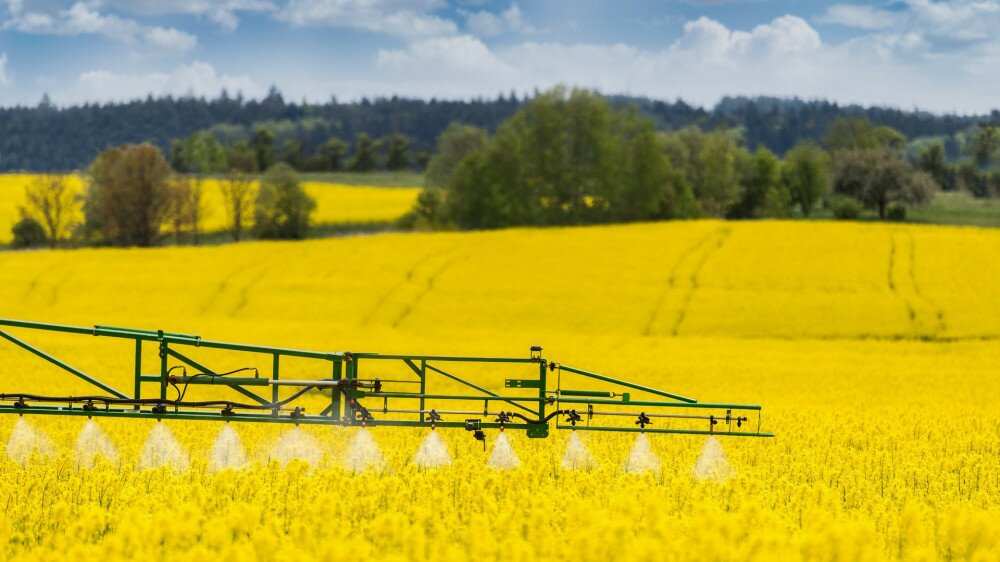 Working spraying machine in yellow canola land. Spring landscape. Chemical fertilizers, toxic pesticides, insecticides. Ecology
