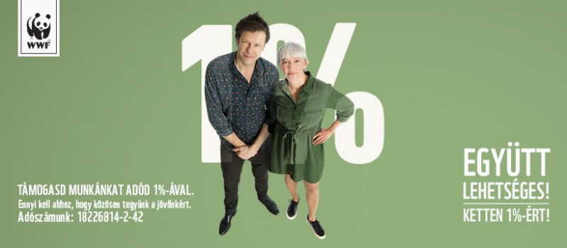 WWF_1_2020_Tilla_SiposKati