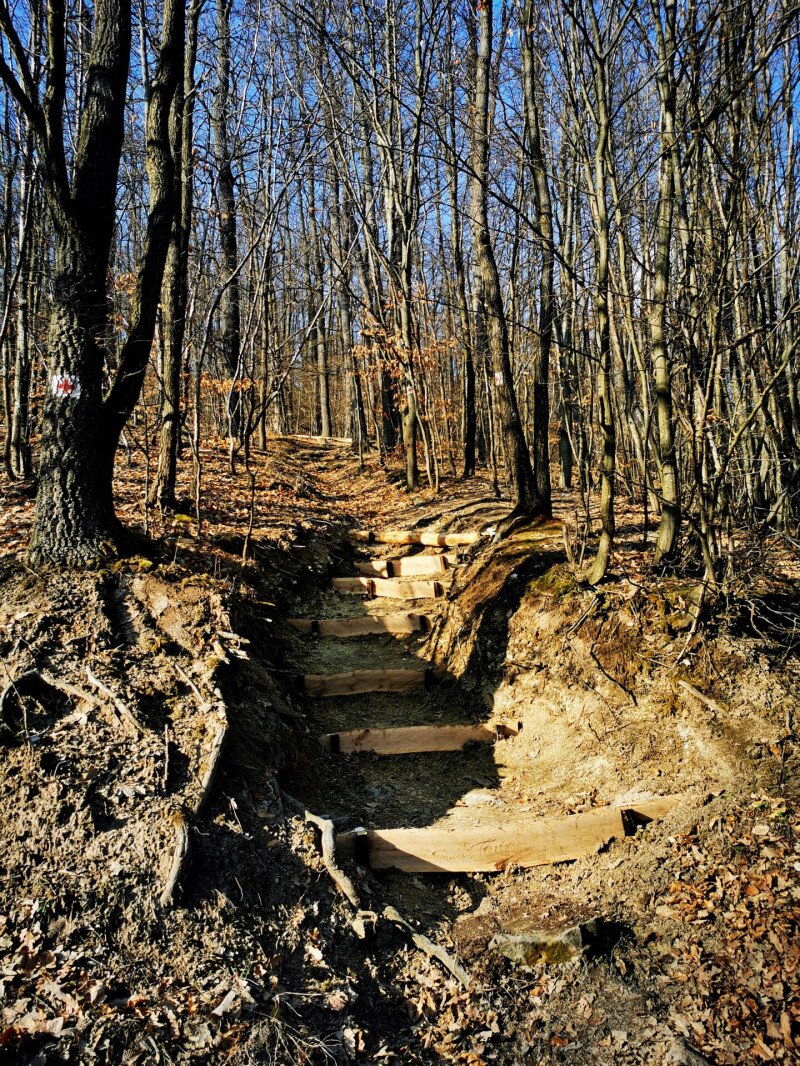 xIMG_20250327_151524