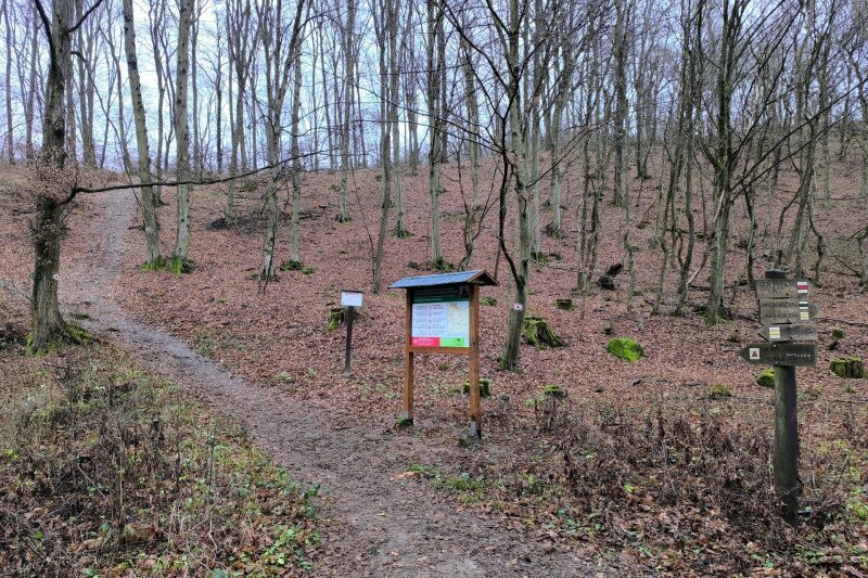 xIMG_20251205_112145