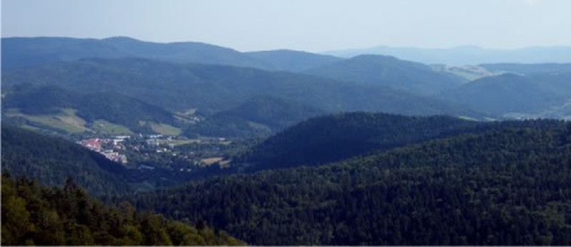 z12447363x.jpg