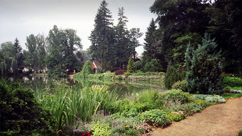 zirci-arboretum.jpg